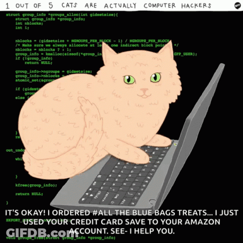 Keyboard Cat Typing Amazon Account GIF