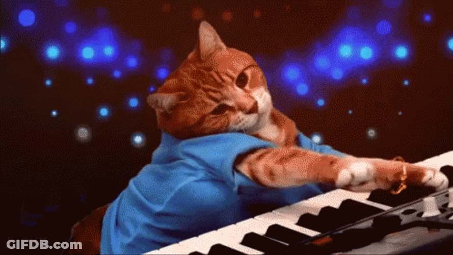 Keyboard Cat With Disco Light GIF