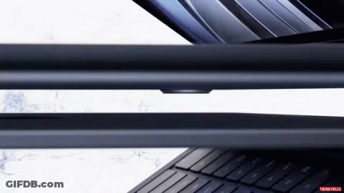 Keyboard With Trunk Fried GIF