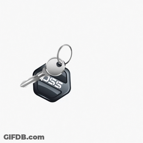 Keychain Key Saying SSC GIF