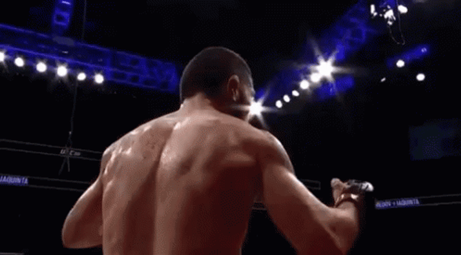 Khabib Raising His Hand GIF