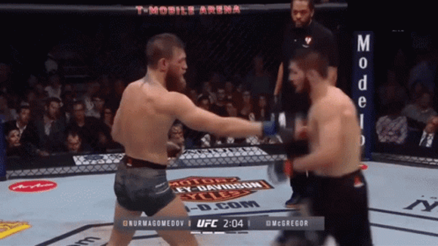 Khabib Slapped By Mc Gregor GIF