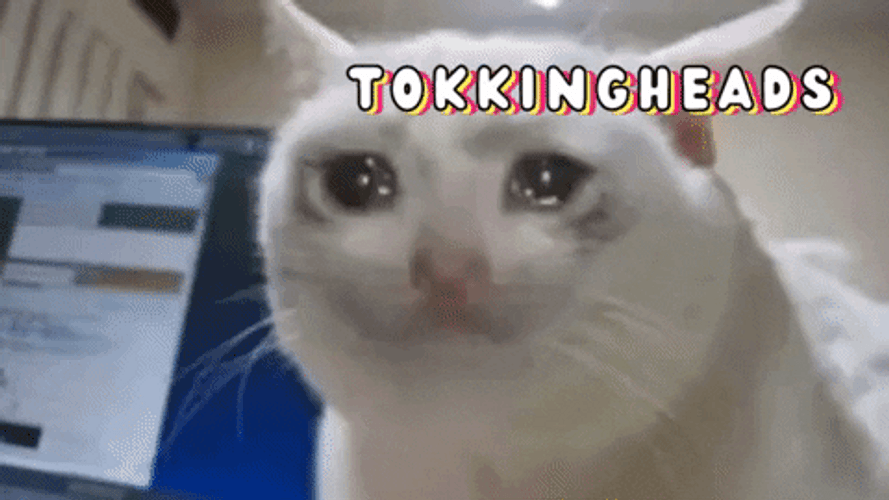 Khao Manee Cat Crying Funny Meme GIF