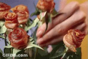 Khi Dem Vua Qua Tinh Yeu Text On White GIF