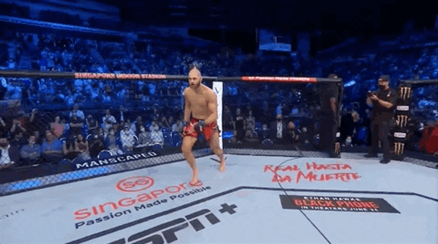 Kick Boxing Come At Me Bro GIF
