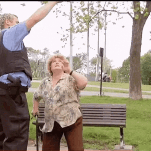 Kick In The Nuts Angry Fat Lady GIF