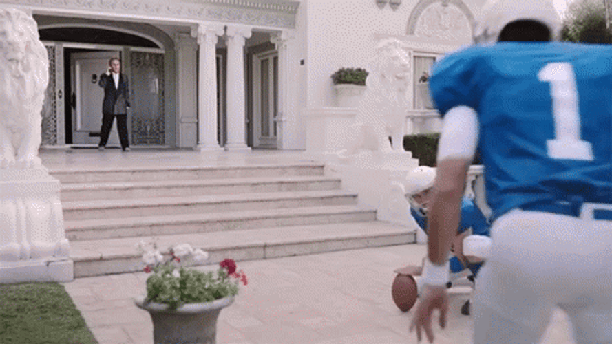 Kick In The Nuts Football Kicker GIF