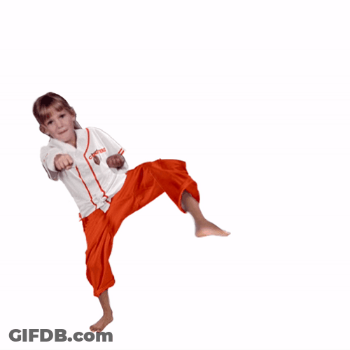Kickball Karate Kid GIF