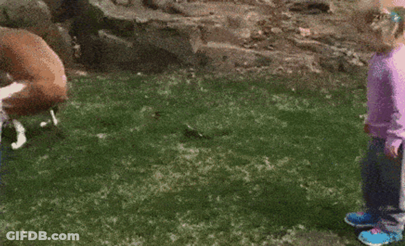 Kid Encouraging Dog To Poop GIF