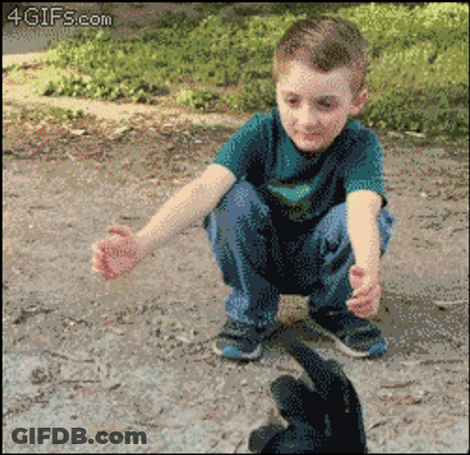 Kid Giving Big Hugs To Chickens GIF