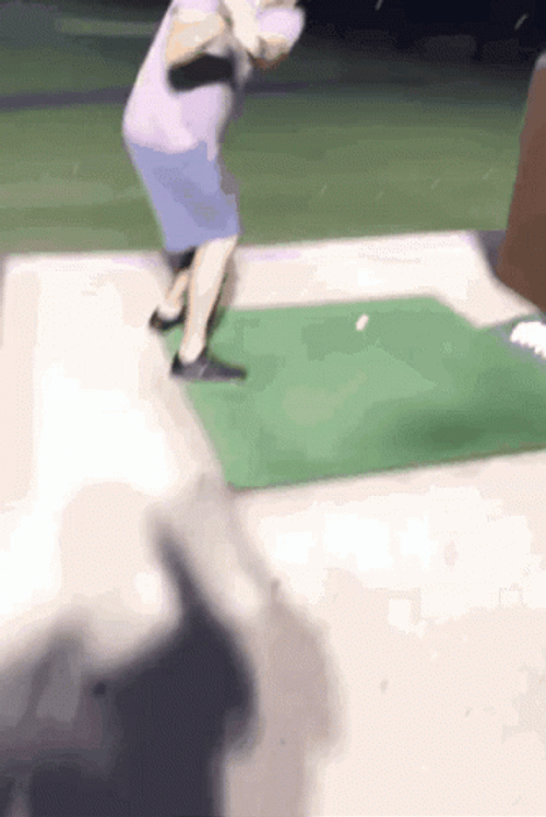 Kid Golf Swing GIF