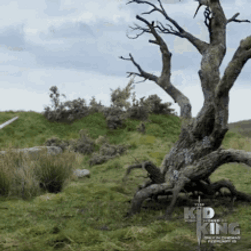 Kid King Film Lance Fighting Monster Tree GIF