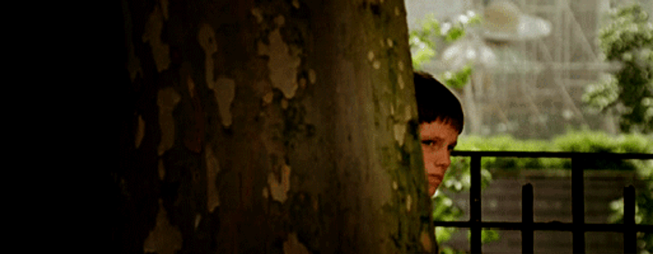 Kid Peeking Behind The Tree GIF