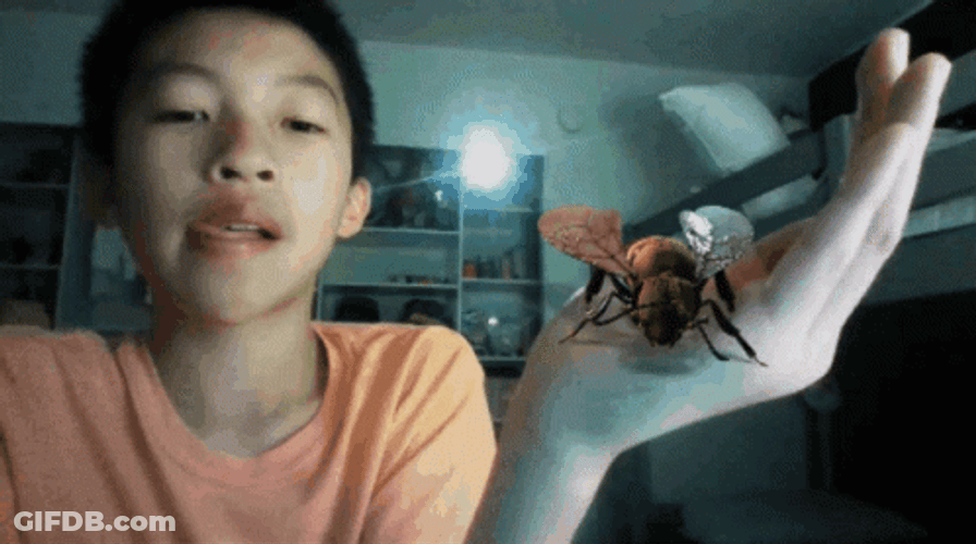 Kid Playing Bee Got Bee Sting GIF