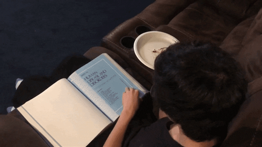 Kid Reading Book Flips Pages GIF
