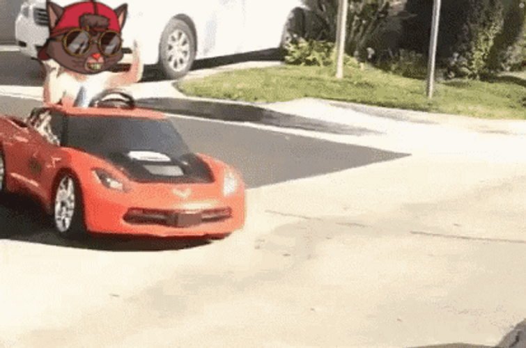 Kid Riding His Toy Car Meme GIF