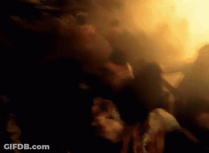 Kid Rock Amazing Concert GIF