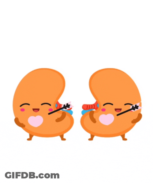 Kidneys Happy Because Oxygen Received From Circulatory System GIF