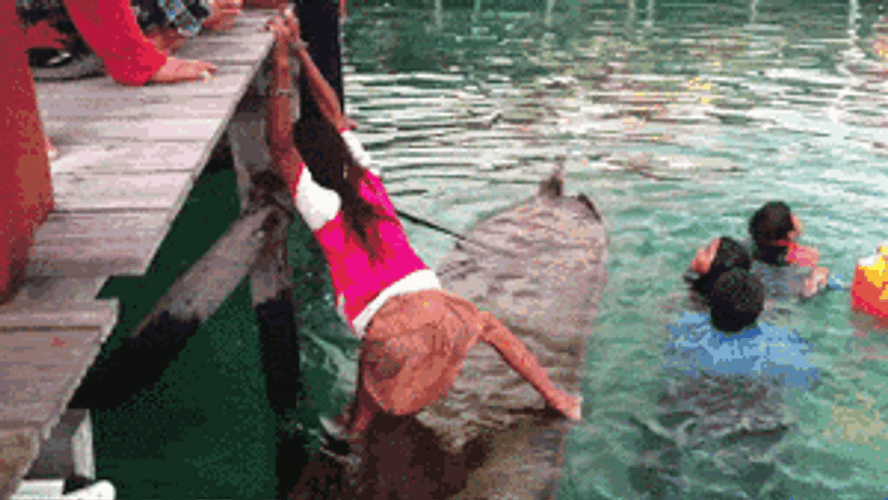 Kids Playing And Gonna Need A Bigger Boat GIF
