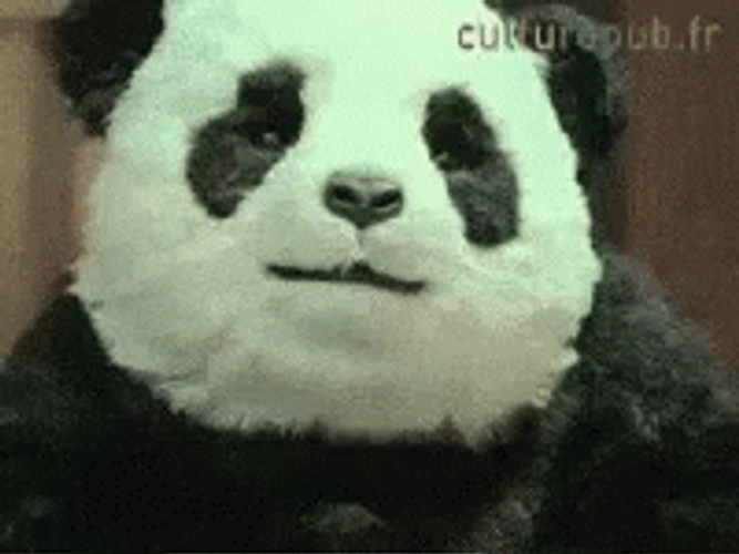 Kids Reaction To An Angry Panda GIF