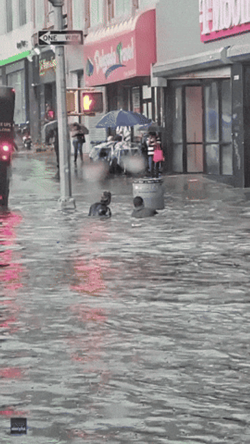 Kids Swimming In Monsoon Flood GIF