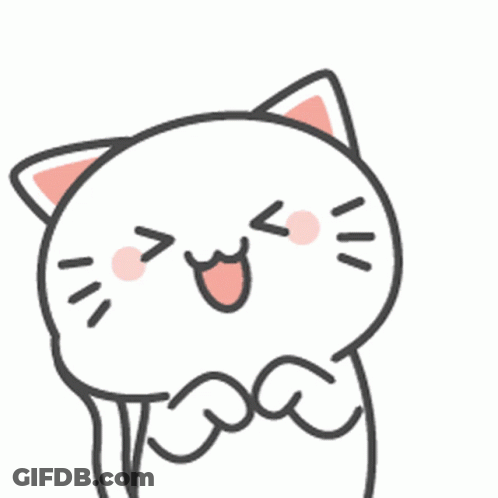 Kikicat Kikiapp GIF