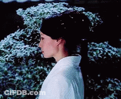 Kill Bill Poster GIF