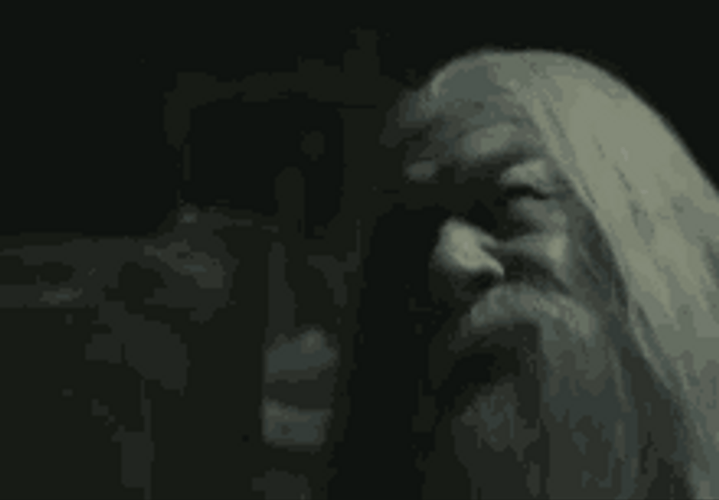 Kill Me Albus Dumbledore Harry Potter GIF