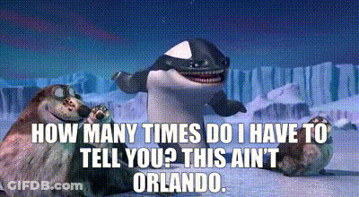 Killer Whale Saying How Many Times Do I Have To Tell You This Ain't Orlando GIF