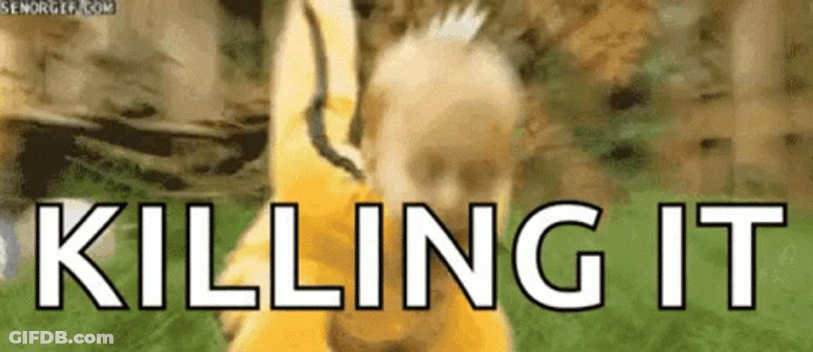 Killing It GIF