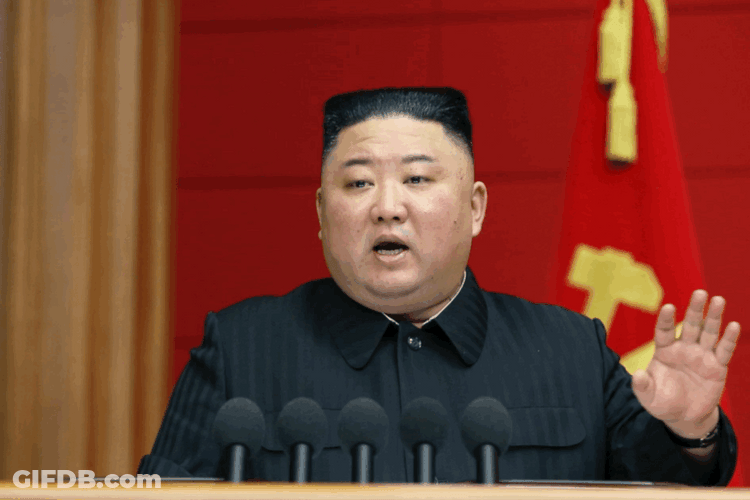 Kim Jong Un Speech Compilation GIF