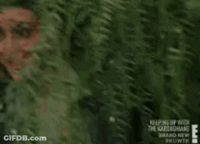 Kim Kardashian Peeking Behind A Plant GIF
