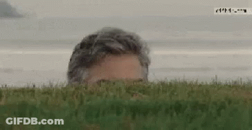 Kim Kardashian Smiling In Front Of Bush GIF