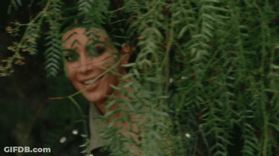 Kim Kardashian Sneaky Peek GIF