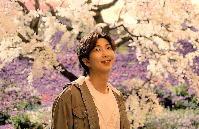 Kim Nam-Joon Happy With Nature GIF
