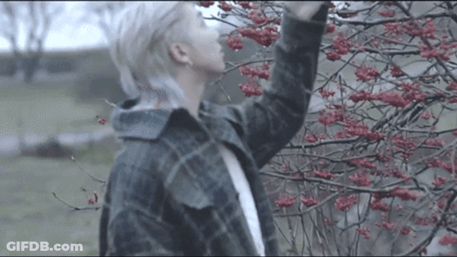 Kim Nam-Joon Solo Shots GIF