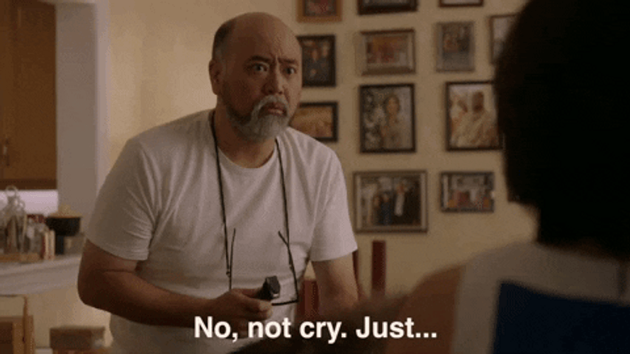 Kim's Convenience Appa Crying Meme GIF