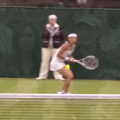 Kimiko Date Venus Williams GIF