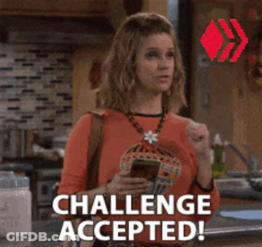Kimmie Fuller Challenge Accepted GIF