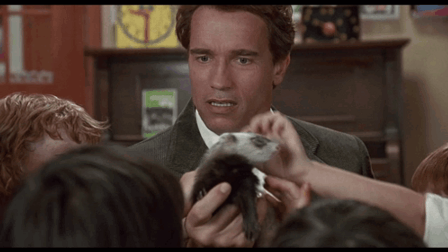 Kindergarten Cop Detective John Kimble Holding Ferret GIF