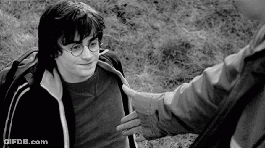 Kindness Cedric Diggory Giving Harry Potter A Hand GIF