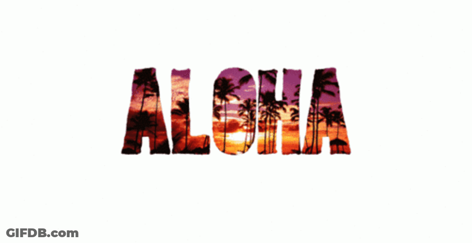 Kinds Of Beaches In Aloha Hawaii GIF