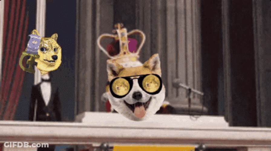 King Bob Doge Coin Face Swap GIF