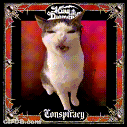 King Diamond Cat Conspiracy GIF