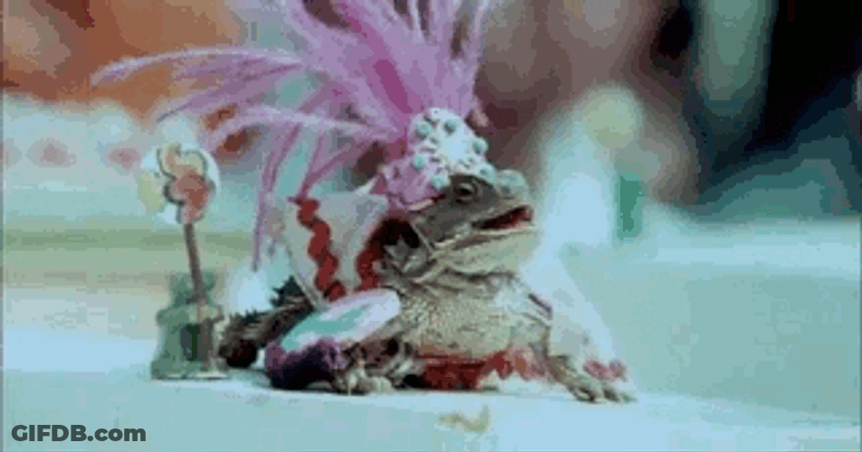 King Iguana With Costume GIF