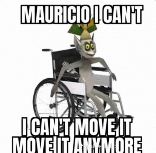 King Julien Sitting On Wheelchair GIF