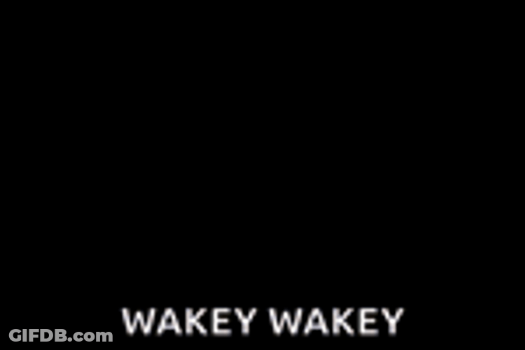 King Julien Wakey Wakey GIF