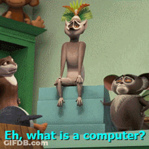 King Julien What Is Computer GIF