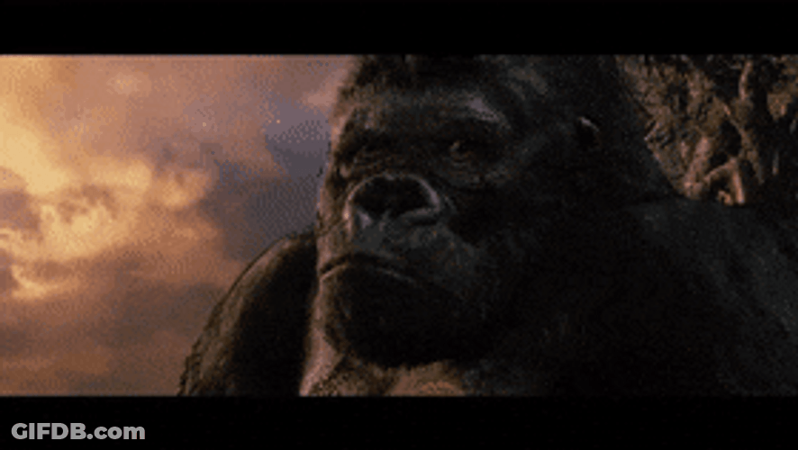 King Kong Calmly Looking At The Sunset GIF