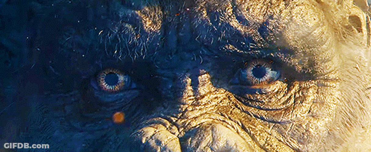 King Kong Eyes Close Up Shot GIF
